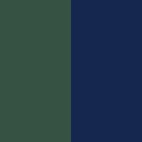 forest-galaxy-blue