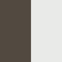 roasted-bean-white