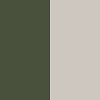 olive-camel