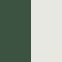 forest-ivory